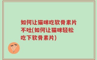 如何让猫咪吃软骨素片不吐(如何让猫咪轻松吃下软骨素片)