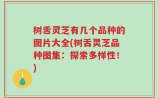 树舌灵芝有几个品种的图片大全(树舌灵芝品种图集：探索多样性！)
