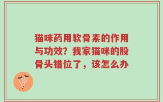 猫咪药用软骨素的作用与功效？我家猫咪的股骨头错位了，该怎么办