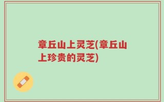 章丘山上灵芝(章丘山上珍贵的灵芝)