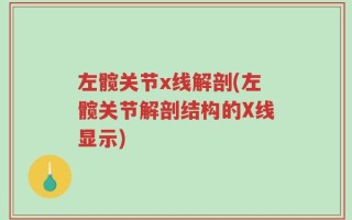 左髋关节x线解剖(左髋关节解剖结构的X线显示)