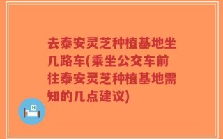 去泰安灵芝种植基地坐几路车(乘坐公交车前往泰安灵芝种植基地需知的几点建议)