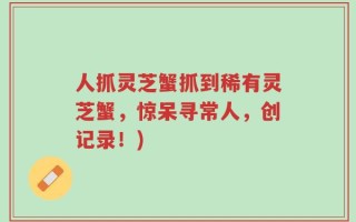 人抓灵芝蟹抓到稀有灵芝蟹，惊呆寻常人，创记录！)