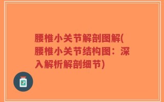 腰椎小关节解剖图解(腰椎小关节结构图：深入解析解剖细节)