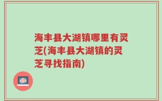 海丰县大湖镇哪里有灵芝(海丰县大湖镇的灵芝寻找指南)