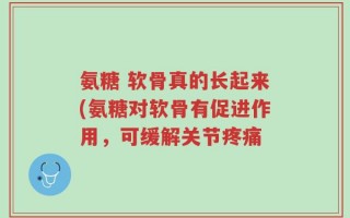 氨糖 软骨真的长起来(氨糖对软骨有促进作用，可缓解关节疼痛