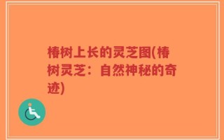 椿树上长的灵芝图(椿树灵芝：自然神秘的奇迹)