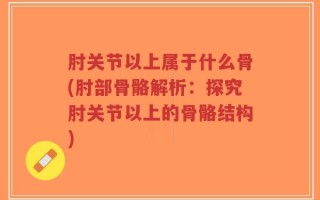 肘关节以上属于什么骨(肘部骨骼解析：探究肘关节以上的骨骼结构)