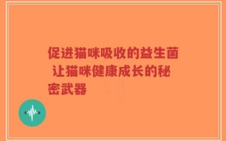 促进猫咪吸收的益生菌 让猫咪健康成长的秘密武器