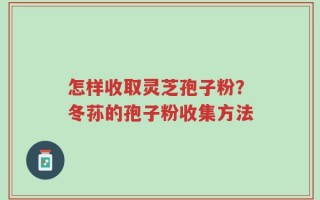 怎样收取灵芝孢子粉？冬荪的孢子粉收集方法