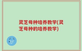 灵芝母种培养教学(灵芝母种的培养教学)
