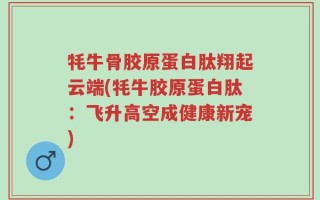牦牛骨胶原蛋白肽翔起云端(牦牛胶原蛋白肽：飞升高空成健康新宠)