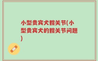 小型贵宾犬髋关节(小型贵宾犬的髋关节问题)