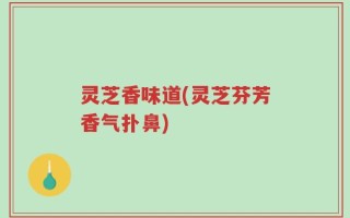 灵芝香味道(灵芝芬芳香气扑鼻)