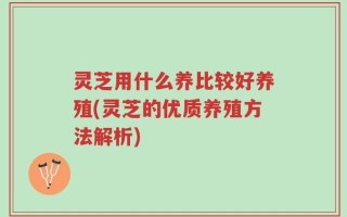灵芝用什么养比较好养殖(灵芝的优质养殖方法解析)