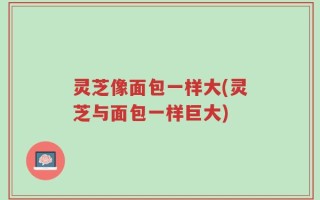 灵芝像面包一样大(灵芝与面包一样巨大)