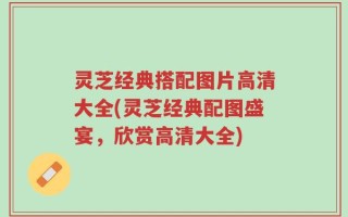 灵芝经典搭配图片高清大全(灵芝经典配图盛宴，欣赏高清大全)