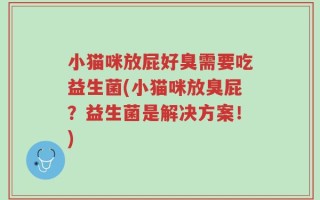 小猫咪放屁好臭需要吃益生菌(小猫咪放臭屁？益生菌是解决方案！)