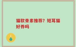 猫软骨素推荐？短耳猫好养吗