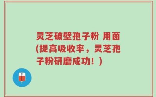 灵芝破壁孢子粉 用菌(提高吸收率，灵芝孢子粉研磨成功！)