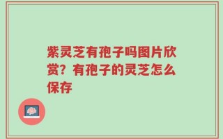 紫灵芝有孢子吗图片欣赏？有孢子的灵芝怎么保存