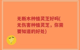 无断木种植灵芝好吗(无伤害种植灵芝，你需要知道的好处)