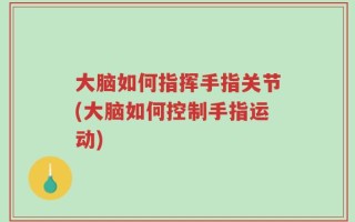 大脑如何指挥手指关节(大脑如何控制手指运动)