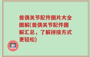 兽偶关节配件图片大全图解(兽偶关节配件图解汇总，了解拼接方式更轻松)