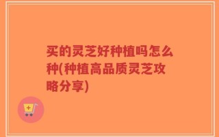 买的灵芝好种植吗怎么种(种植高品质灵芝攻略分享)