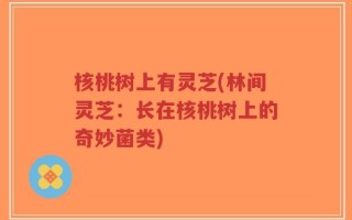 核桃树上有灵芝(林间灵芝：长在核桃树上的奇妙菌类)