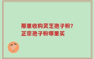 那里收购灵芝孢子粉？正宗孢子粉哪里买