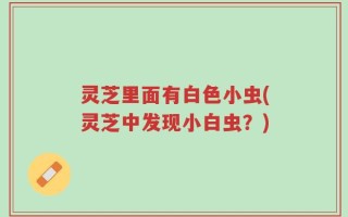 灵芝里面有白色小虫(灵芝中发现小白虫？)
