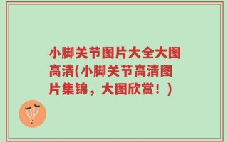小脚关节图片大全大图高清(小脚关节高清图片集锦，大图欣赏！)