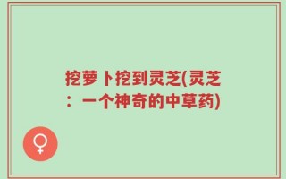 挖萝卜挖到灵芝(灵芝：一个神奇的中草药)