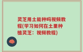 灵芝用土能种吗视频教程(学习如何在土里种植灵芝：视频教程)