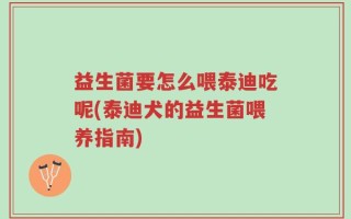 益生菌要怎么喂泰迪吃呢(泰迪犬的益生菌喂养指南)