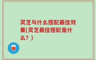 灵芝与什么搭配最佳效果(灵芝最佳搭配是什么？)