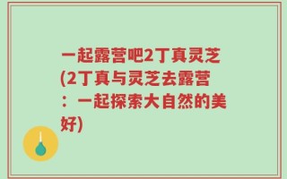 一起露营吧2丁真灵芝(2丁真与灵芝去露营：一起探索大自然的美好)