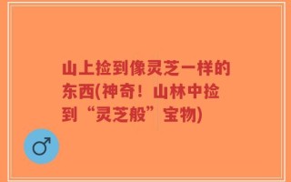 山上捡到像灵芝一样的东西(神奇！山林中捡到“灵芝般”宝物)