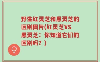 野生红灵芝和黑灵芝的区别图片(红灵芝VS黑灵芝：你知道它们的区别吗？)