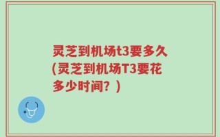 灵芝到机场t3要多久(灵芝到机场T3要花多少时间？)
