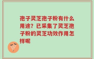 孢子灵芝孢子粉有什么用途？已采集了灵芝孢子粉的灵芝功效作用怎样呢