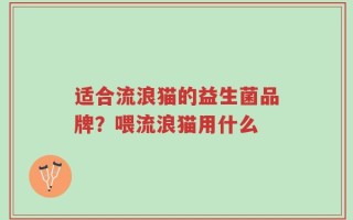 适合流浪猫的益生菌品牌？喂流浪猫用什么