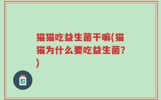 猫猫吃益生菌干嘛(猫猫为什么要吃益生菌？)