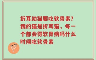 折耳幼猫要吃软骨素？我的猫是折耳猫，每一个都会得软骨病吗什么时候吃软骨素