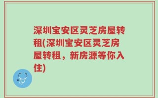 深圳宝安区灵芝房屋转租(深圳宝安区灵芝房屋转租，新房源等你入住)