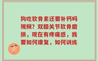 狗吃软骨素还要补钙吗视频？双膝关节软骨磨损，现在有疼痛感，我要如何康复，如何训练