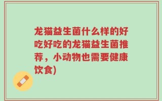 龙猫益生菌什么样的好吃好吃的龙猫益生菌推荐，小动物也需要健康饮食)