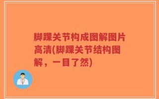 脚踝关节构成图解图片高清(脚踝关节结构图解，一目了然)