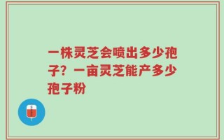 一株灵芝会喷出多少孢子？一亩灵芝能产多少孢子粉